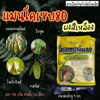 ☘️โกลเทน-เอ็ม80 แมนโคเซบเหลือง ผงเหลือง กำจัดเชื้อรา โรคพืช ราสนิม ใบจุด โรคผลเน่า ใบจุดสีน้ำตาล