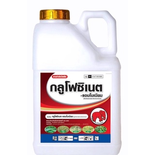 🔥ช้าง กลูโฟซิเนต-แอมโมเนียม (glufosinate-ammonium) ยากำจัดวัชพืชแบบเผาไหม้ ใช้แทนพาราควลตไดคลอไรต์ กรัมม็อกโซน