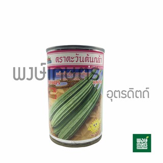 เมล็ดพันธุ์บวบเหลี่ยม (กริชเพชร) 30กรัม ตราตะวันต้นกล้า เมล็ดพันธุ์พืช ผักสวนครัว ต้นไม้ สินค้าเกษตร พงษ์เกษตรอุตรดิตถ์