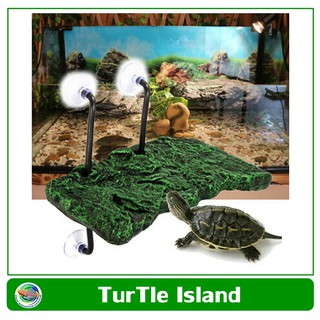 Turtle Dock ที่พัก สำหรับเต่า,ตะพาบ สัตว์ครึ่งบกครึ่ีงน้ำ โฟมลอยน้ำได้