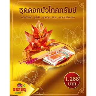 Horosociety ชุดดอกบัวโภคทรัพย์ วัดเจ้าแม่กวนอิม ยืมเงิน (ฮ่องฮำ)