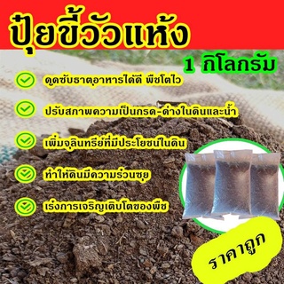 ขี้วัวแห้ง ปุ๋ยคอกใส่แปลงผัก ราคาถูก กิโลกรัมละ 9 บาท