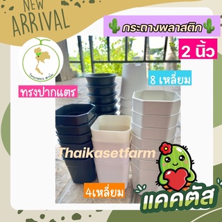 กระถางแคคตัส2นิ้วชุดที่3ขายดี‼️ทรงปากแตร ทรง8 เหลี่ยมทนทาน🌵🌼