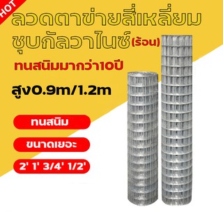 [ทนสนิม]ช่องตา1/2 1 2" ลวดตาข่ายสี่เหลี่ยมชุบกัลวาไนซ์แบบชุบร้อน ลวดตะแกรงกรงไก่ ลวดตาแกรงกรงนก ลวดปูพื้นปูผนัง