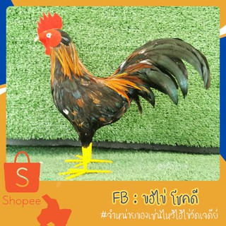ไก่ขนใหญ่พิเศษสูง​ 11​ นิ้ว​ ตุ๊กตาไก่ขนจริง​ งานทำมือ