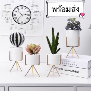 พร้อมส่ง.［Becky home shop］แจกันดอกไม้แบบเซรามิกสีทอง + สีขาวเซรามิก