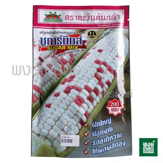 เมล็ดพันธุ์ข้าวโพดข้าวเหนียวหวานลูกผสม ซูการ์มิกซ์ 200 กรัม ตราตะวันต้นกล้า ( ข้าวโพด เมล็ดพันธุ์ผัก ผักสวนครัว )