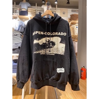 preorder brandy melville hoodie