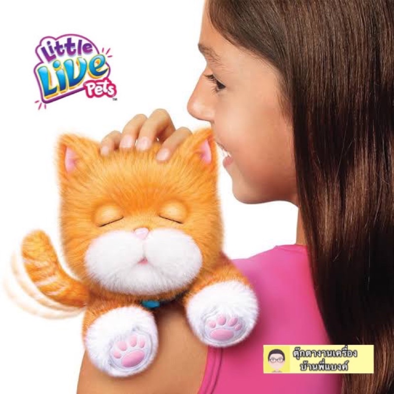 พร้อมส่ง❗️❗️😽แมวอ้อน Little live pets แมวเหมือนจริง!!ขี้อ้อนมากๆ❤️