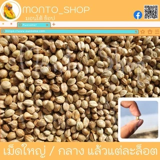 อาหารนก เมล็ดฮวยมั้ว แบ่งแพ็ค ขนาด 100g.