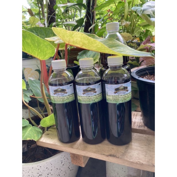 น้ำส้มควันไม้ ชลบุรี(Wood vinegar)ตรา Kochan camp ขวด 500 ml. 20 ฿ ไล่แมลง,เห็บ,หมัด,กันรากเน่า,เชื้อราในดิน ปลอดสารเคมี ราคา ถูกที่สุด ดีลบีเคเค แกลเลอรีภาพที่ 9