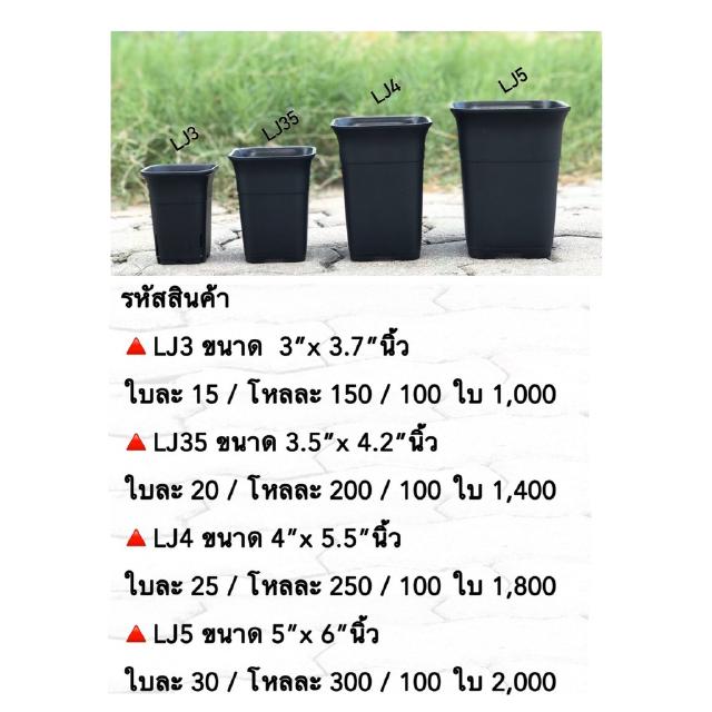 LJ กระถางต้นไม้แคคตัส ใส่ไม้ได้ทุกสายพันธ์ มี 4 ขนาด 1 โหล