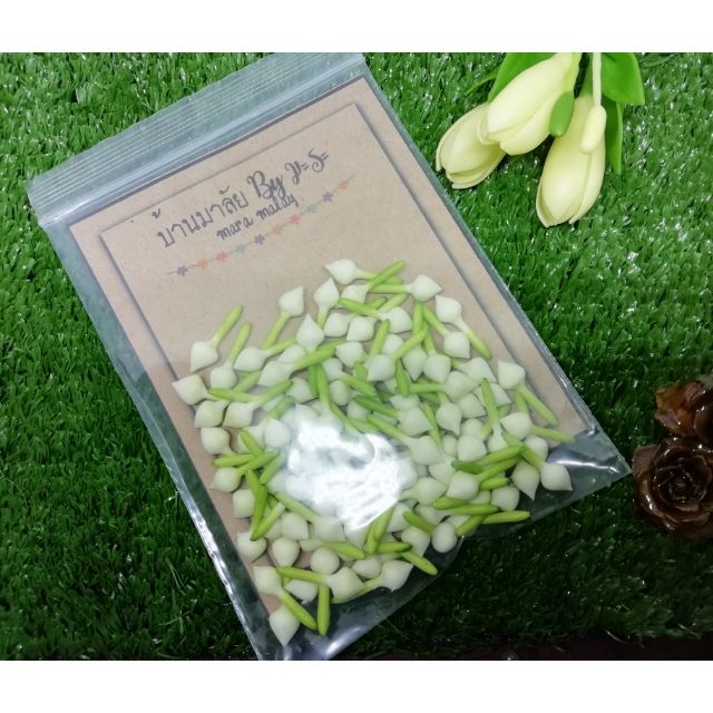 ดอกพุดดินปั้น 100ดอก65บาท