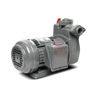 SHOWFOU (โชว์ฟู) SP-112AN ปั๊มหอยโข่ง 1 HP 1" 1PH  (S281-SP112)