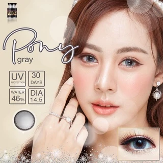 💋 สุดปัง มีค่าสายตา 💋 Wink Pony Gray Brown Black บิ๊กอาย สุดปัง คอนแทคเลนส์ รายเดือน มีอย แถมตลับฟรี เลนส์นิ่ม สวยปังมาก