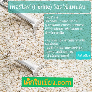 Perlite เพอร์ไลท์ 4 ลิตร วัสดุปลูกพืช ใช้แทนดิน ขนาด 3-6 มิลลิเมตร