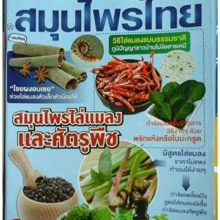 หนังสือสมุนไพรไทย สินค้าขายดี  ส่งเร็ว