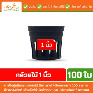 อุปกรณ์ปลูกต้นไม้ จัดสวน ปลูกต้นไม้ กล้วยไม้ 1 นิ้ว 100 ใบ สีดำ