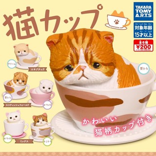 🅟🅕 กาชาปองน้องแมวนั่งในถ้วยหลากหลายพันธุ์ 🐈 ☕️ Cat Cup gashapon