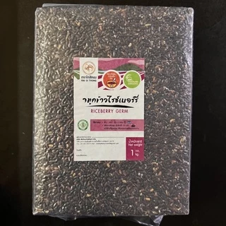 🌾จมูกข้าวไรซ์เบอรร์รีปลอดสาร ข้าวใหม่ ตราไก่สีทอง แพคสูญญากาศ 1 KG ข้าวทำโจ๊ก ข้าวเด็ก