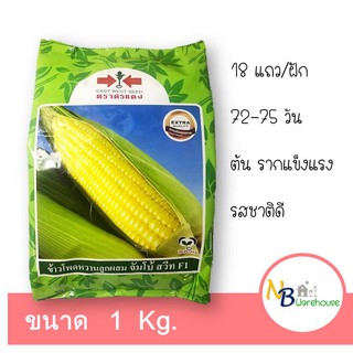 ( 1 Kg ) เมล็ดข้าวโพดหวาน จัมโบ้สวีท F1 ตราศรแดง ฝักใหญ่ รสหวาน  0058