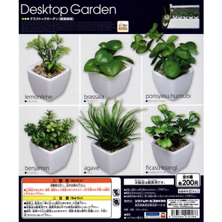 Gashapon Desktop Garden - กาชาปอง ต้นไม้ จำลองขนาดเล็ก