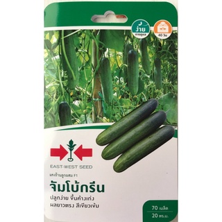 เมล็ดพันธุ์ แตงร้าน จัมโบ้กรีน f1 🥒หมดอายุ 21/05/2567🥒 แตงร้านลูกผสม✔✔ บรรจุ 70เมล็ด