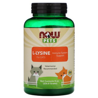 [แบ่งขาย] Lysine Cat ไลซีนแมว  (ชนิดผง) เสริมภูมิแมว Exp: 02/2027 +ล็อตใหม่+