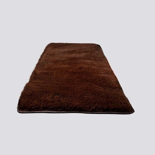 พรมปูพื้นห้อง 120x160cm สีน้ำตาล พรมเช็ดเท้า Room carpet 120x160cm brown