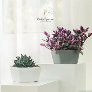 กระถางพลาสติกทรงเตี้ยพร้อมถาดรอง Octagon Short Plastic Planter จัดสวนถาด กระถางแคตตัส กระถางกุหลาบหิน สวนถาด