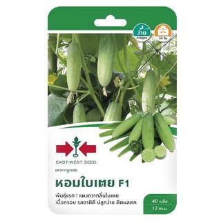 เมล็ดพันธุ์ แตงกวาลูกผสม หอมใบเตย F1 HYBRID CUCUMBER SEED EAST-WEST SEED HOM BI TEOY F1