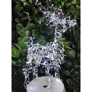 กวางRaindeer มีสีขาว-วอร์ม