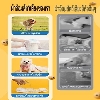 🐕BHQ🌊 ผ้าอ้อมสุนัขขนาดเล็ก S/M/L/XL เพศเมีย แมว สัตว์เลี้ยง ผ้าอ้อมหมา ราคาถูก
