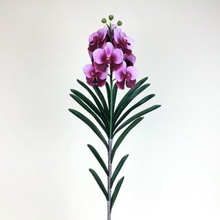 ช่อกล้วยไม้แวนด้า 8หัวดอกในช่อ ดอกไม้ประดิษฐ์เกรดพรีเมี่ยม Artificial Vanda