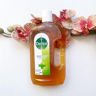 750, 1200 ml. วันผลิต 11/22 Dettol เดทตอล น้ำยาฆ่าเชื้อโรค ฆ่าเชื้อแบคทีเรีย ฆ่าเชื้อรา น้ำยาฆ่าเชื้ออเนกประสงค์