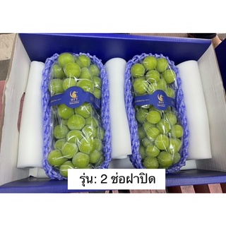 องุ่นไชมัสคัต ✨เข้าใหม่ 🦜ตรานกแก้วพรีเมียม✨ ช่อใหญ่ยักษ์ ลูกใหญ่ชะใจ🍇