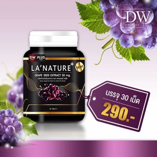 Lanature Grape Seed Extract สารสกัดจากเมล็ดองุ่น