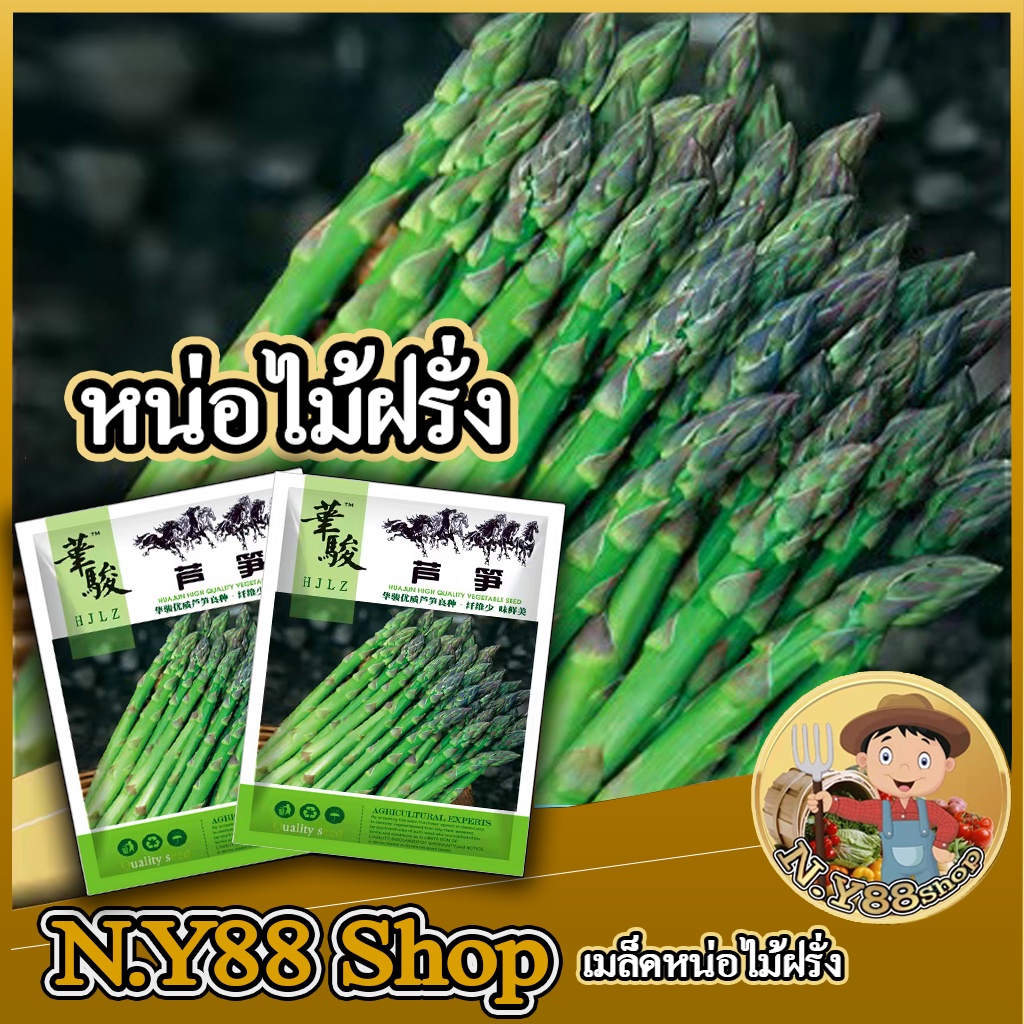 5แถม1เมล็ดพันธุ์หน่อไม้ฝรั่ีง 80 เมล็ด เมล็ดพันธุ์แท้ อัตตราการงองสูง ทนแล้ง ให้หน่อสวย สามารถปลูกได้ทุกฤดูการ