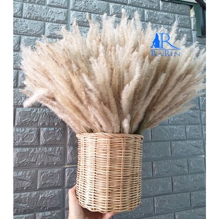 Rarin 📌📌🌾ดอกหญ้าคา🌾สีธรรมชาติ  ขนาด 30 cm. เป็นดอกไม้ธรรมชาติ  ใช้ประดับห้อง ร้าน งานแต่ง DIY