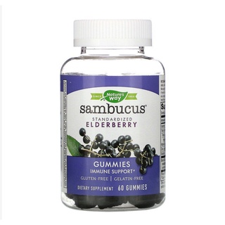 Natures Way, Sambucus for Kids, Standardized Elderberry, 60 Gummies