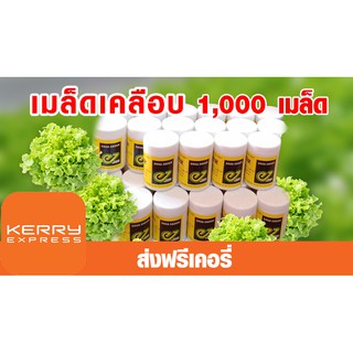 เมล็ดพันธุ์ผักสลัด แบบเคลือบ ENZA  กระปุก 1000 เมล็ด อัตราการงอกสูง