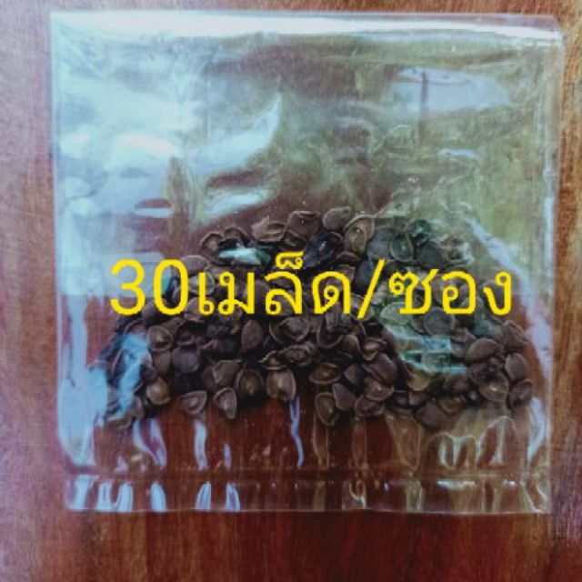 เมล็ดมะม่วงหาวมะนาวโห่(30เมล็ด/ซอง)