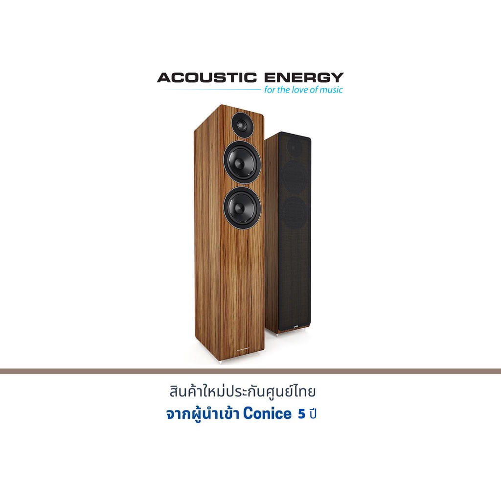 ACOUSTIC ENERGY AE109 Floorstanding Speakers