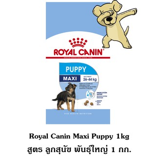 [Cheaper] Royal Canin Maxi Puppy 1kg อาหารสุนัข โรยัลคานิน สูตรลูกสุนัข พันธุ์ใหญ่ ขนาด 1 กิโลกรัม