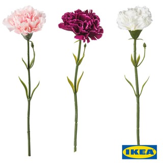 IKEA ดอกไม้ประดิษฐ์, ดอกคาร์เนชั่น, อิเกีย แท้ 100%, 30 ซม. ราคาถูก มี 3 สี ให้เลือก ชมพู ขาว ม่วงเข้ม