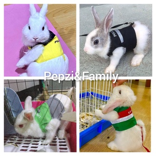 [[[ Pepzi&Family ]]] เสื้อพร้อมสายจูง กระต่าย