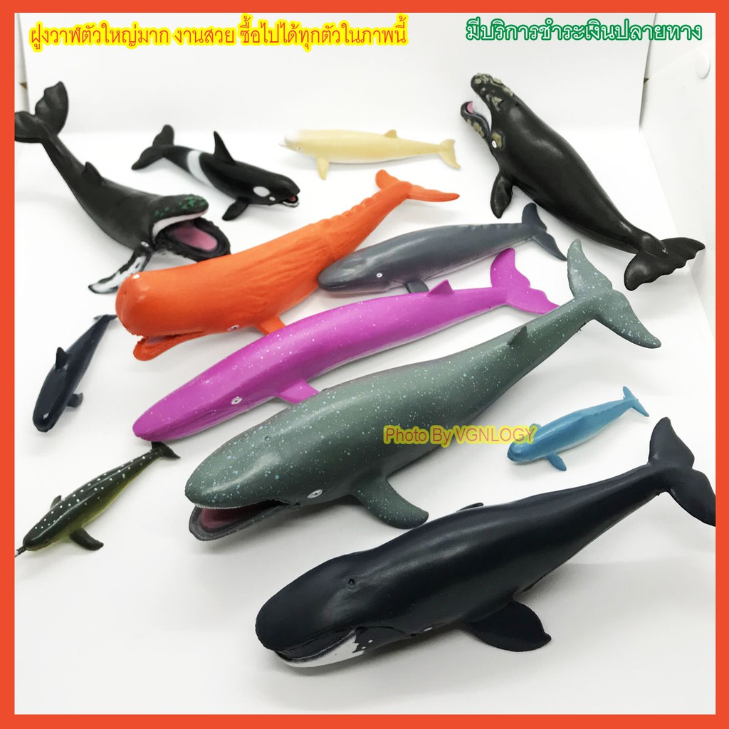 ควรมี โมเดลปลาวาฬ ตัวใหญ่ เซต 11 ตัว ปลาปลอม Whale Model งานคุณภาพ ของเล่นเสริมพัฒนาการ ของเล่นเด็ก เสริมจินตนาการ