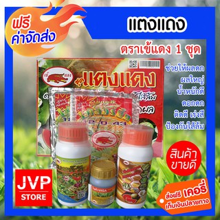 **ส่งฟรี** อาหารแตงโมสูตรเข้มข้น ช่วยให้ผลดก ผลใหญ่ น้ำหนักดี  ดอกดก ติดดี เร่งสี ป้องกันใส้ล้ม