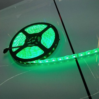 Ip20 Green ไฟ led เส้น Strip 12v 5050 Eco 60leds/m 5m