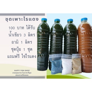 [ส่งทุกวัน]chlorella 100 % ชุดเพราะ ไรเเดง น้ำเขียว 200